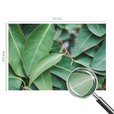 Fototapete nach Maß Grüne Blätter