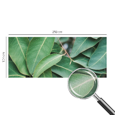 Fototapete nach Maß Grüne Blätter