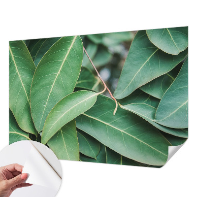 Fototapete nach Maß Grüne Blätter