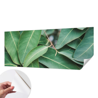 Fototapete nach Maß Grüne Blätter