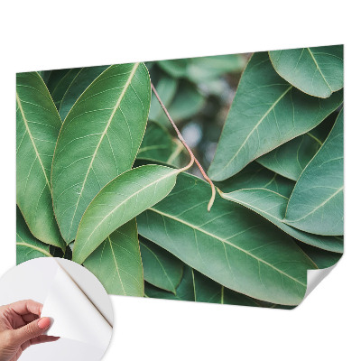 Fototapete nach Maß Grüne Blätter