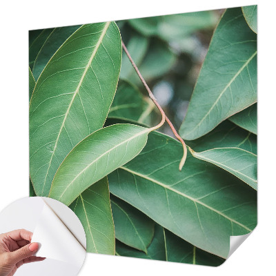 Fototapete nach Maß Grüne Blätter
