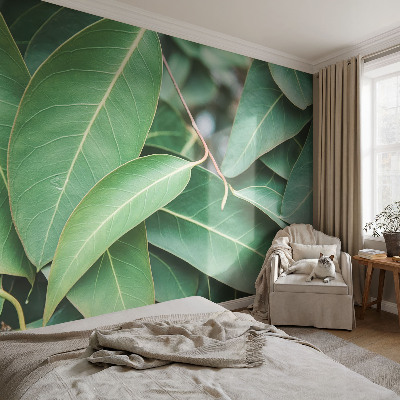 Fototapete nach Maß Grüne Blätter