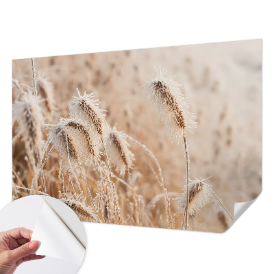 Selbstklebende Fototapete mit Motiv einer winterlichen Landschaft