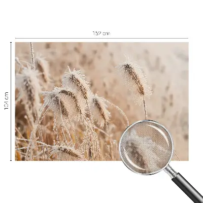 Selbstklebende Fototapete mit Motiv einer winterlichen Landschaft
