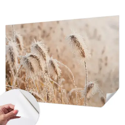 Selbstklebende Fototapete mit Motiv einer winterlichen Landschaft