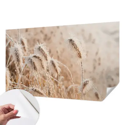 Selbstklebende Fototapete mit Motiv einer winterlichen Landschaft
