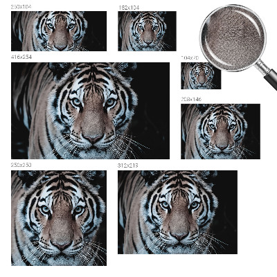 Motivtapete fürs Wohnzimmer mit einem Tigerporträt als Motiv