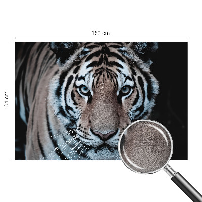 Motivtapete fürs Wohnzimmer Tigerporträt