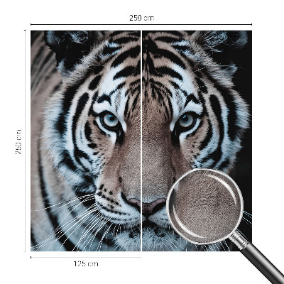 Motivtapete fürs Wohnzimmer Tigerporträt