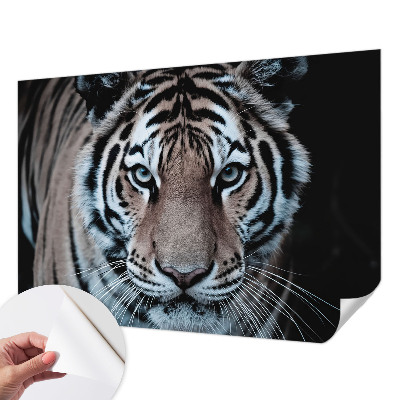 Motivtapete fürs Wohnzimmer mit einem Tigerporträt als Motiv