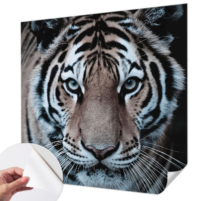 Motivtapete fürs Wohnzimmer mit einem Tigerporträt als Motiv