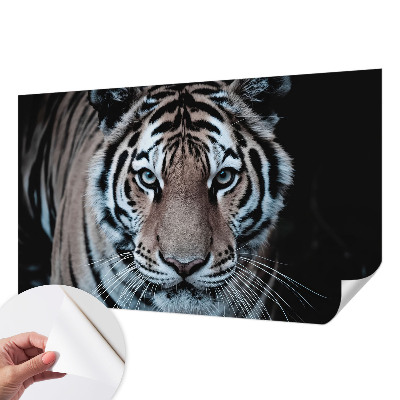 Motivtapete fürs Wohnzimmer mit einem Tigerporträt als Motiv