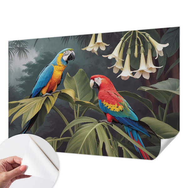 67D-Fototapete fürs Schlafzimmer Bunte Papageien