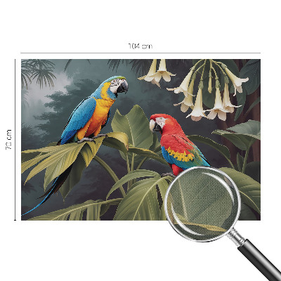 67D-Fototapete fürs Schlafzimmer Bunte Papageien