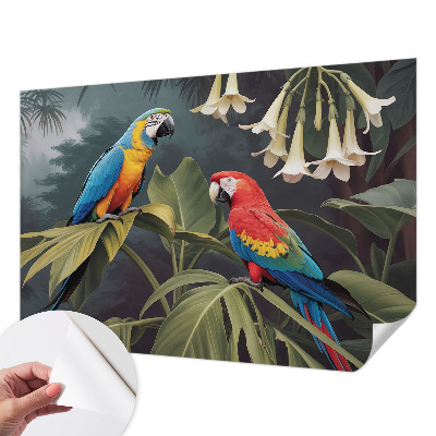 67D-Fototapete fürs Schlafzimmer Bunte Papageien