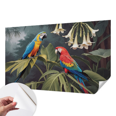 67D-Fototapete fürs Schlafzimmer Bunte Papageien