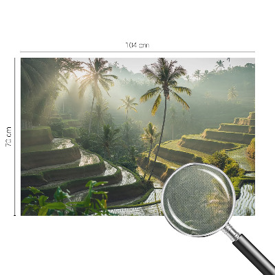 Selbstklebende Fototapete für die Wand mit dem Motiv der Paradiesterrassen