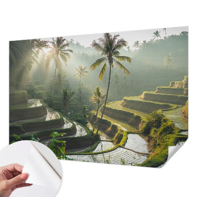 Selbstklebende Fototapete für die Wand mit dem Motiv der Paradiesterrassen