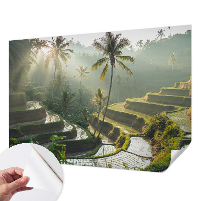 Selbstklebende Fototapete für die Wand mit dem Motiv der Paradiesterrassen