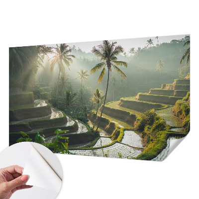 Selbstklebende Fototapete für die Wand mit dem Motiv der Paradiesterrassen