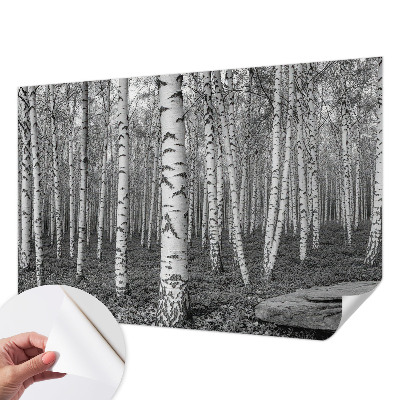 Selbstklebende Fototapete fürs Kinderzimmer mit Birkenwald-Motiv