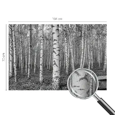 Selbstklebende Fototapete fürs Kinderzimmer mit Birkenwald-Motiv