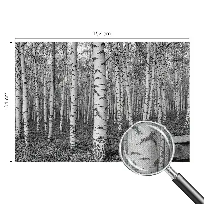 Selbstklebende Fototapete fürs Kinderzimmer mit Birkenwald-Motiv