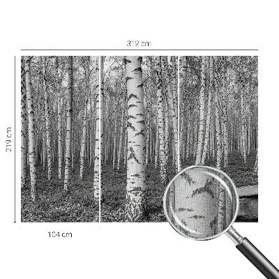 Selbstklebende Fototapete fürs Kinderzimmer mit Birkenwald-Motiv