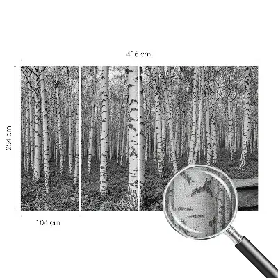 Selbstklebende Fototapete fürs Kinderzimmer mit Birkenwald-Motiv