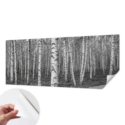 Selbstklebende Fototapete fürs Kinderzimmer mit Birkenwald-Motiv