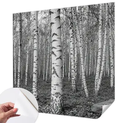 Selbstklebende Fototapete fürs Kinderzimmer mit Birkenwald-Motiv