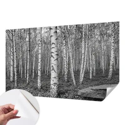 Selbstklebende Fototapete fürs Kinderzimmer mit Birkenwald-Motiv