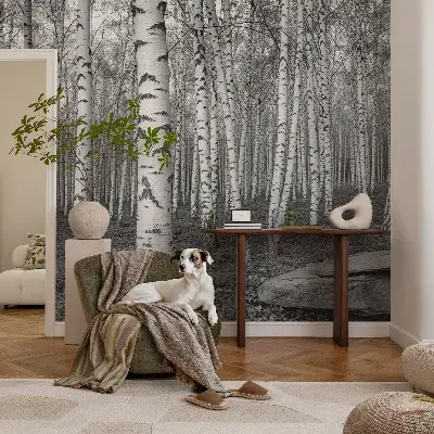 Selbstklebende Fototapete fürs Kinderzimmer mit Birkenwald-Motiv