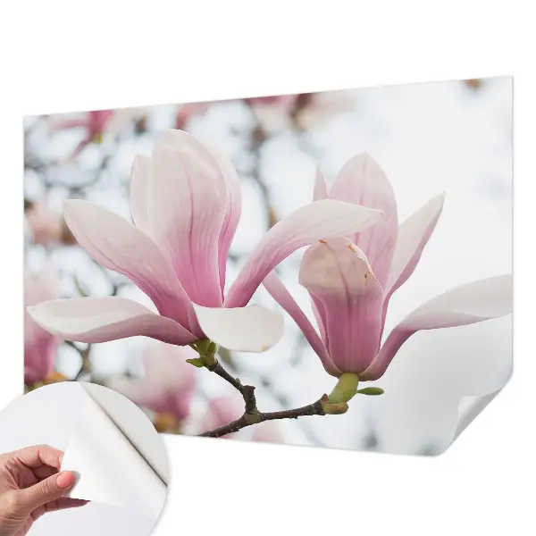 Motivtapete nach Maß mit Motiv der Magnolienblüten