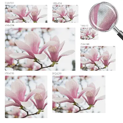 Motivtapete nach Maß mit Motiv der Magnolienblüten