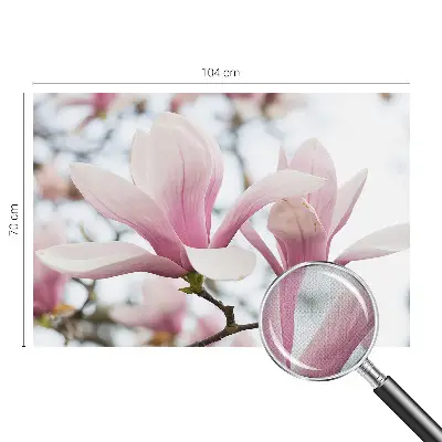 Motivtapete nach Maß mit Motiv der Magnolienblüten