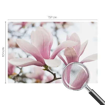 Motivtapete nach Maß mit Motiv der Magnolienblüten
