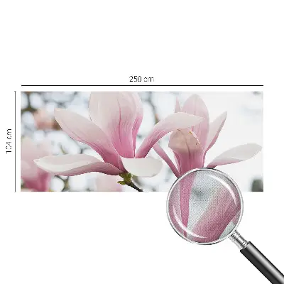 Motivtapete nach Maß mit Motiv der Magnolienblüten