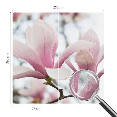 Motivtapete nach Maß mit Motiv der Magnolienblüten