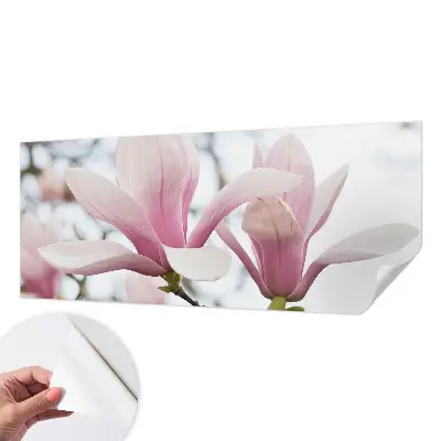 Motivtapete nach Maß mit Motiv der Magnolienblüten