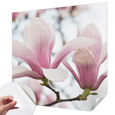 Motivtapete nach Maß mit Motiv der Magnolienblüten