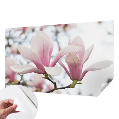 Motivtapete nach Maß mit Motiv der Magnolienblüten
