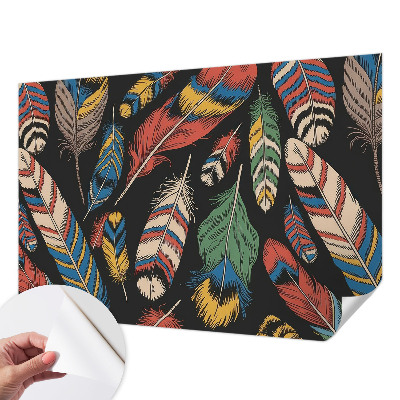 45D-Fototapete fürs Schlafzimmer Bunte Federn