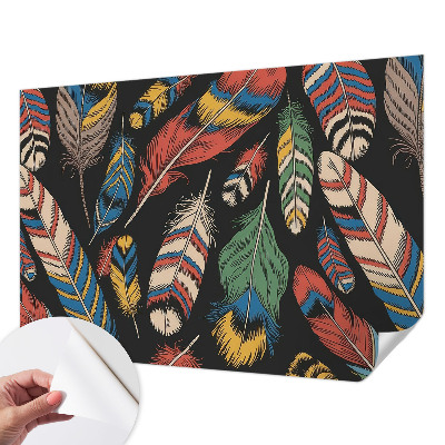 45D-Fototapete fürs Schlafzimmer Bunte Federn