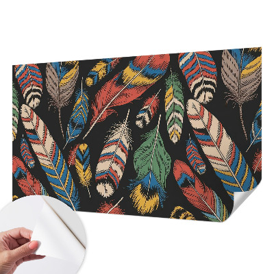 45D-Fototapete fürs Schlafzimmer Bunte Federn