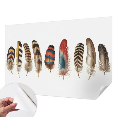 Selbstklebende Fototapete für die Wand mit buntem Federdesign