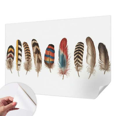 Selbstklebende Fototapete für die Wand mit buntem Federdesign