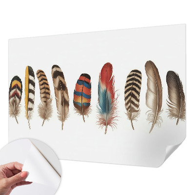 Selbstklebende Fototapete für die Wand mit buntem Federdesign