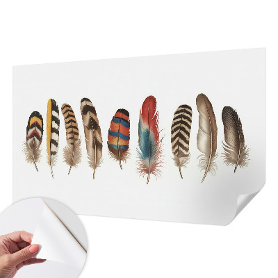Selbstklebende Fototapete für die Wand mit buntem Federdesign